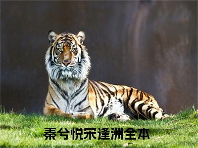 秦兮悦宋逢洲（秦兮悦宋逢洲）全文免费阅读无弹窗大结局_秦兮悦宋逢洲热门小说最新章节阅读