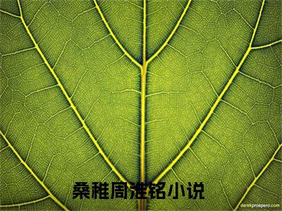 主角为桑稚周淮铭的小说，桑稚周淮铭免费版最新更新阅读