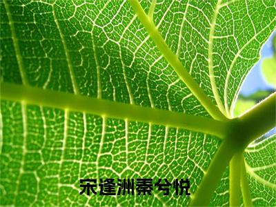 宋逢洲秦兮悦(宋逢洲秦兮悦)全文免费阅读无弹窗大结局_宋逢洲秦兮悦小说在线阅读无删减