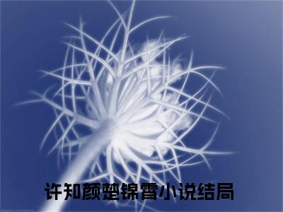 许知颜楚锦霄小说全文免费阅读 许知颜楚锦霄最新章节