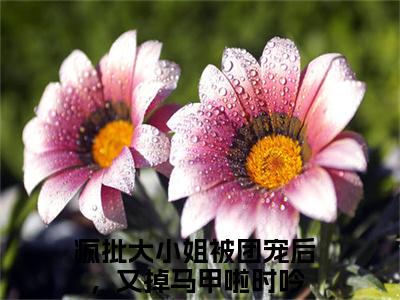 《疯批大小姐被团宠后，又掉马甲啦时吟》最新章节免费阅读-疯批大小姐被团宠后，又掉马甲啦时吟无广告小说精彩阅读