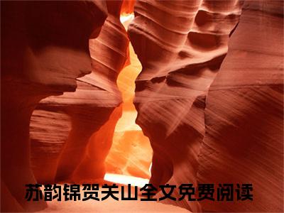 苏韵锦贺关山(苏韵锦贺关山)全文免费阅读无弹窗大结局_苏韵锦贺关山免费阅读_笔趣阁（苏韵锦贺关山）