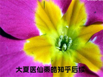 热推新书大夏医仙秦皓小说全文（大夏医仙秦皓）全文免费阅读_大夏医仙秦皓最新章节无弹窗阅读