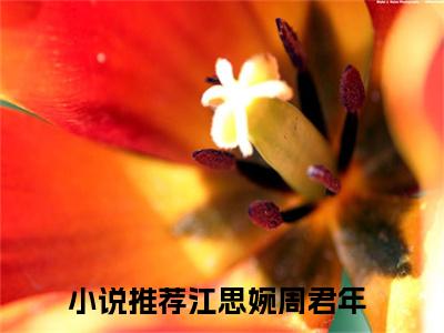 江思婉周君年全文最新章节正版小说免费阅读