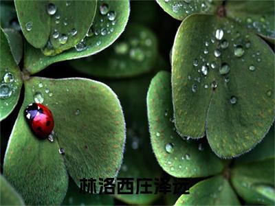 林洛西庄泽远（林洛西庄泽远）小说-林洛西庄泽远最新章节免费阅读