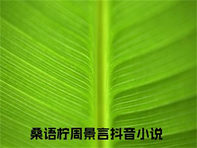 桑语柠周景言（桑语柠周景言）小说全文免费阅读-桑语柠周景言在线阅读的小说完整版