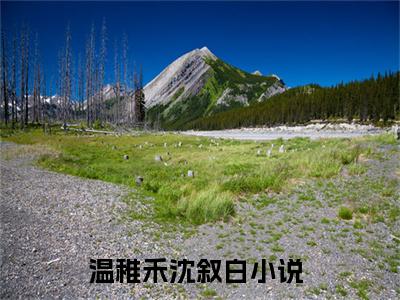 主角叫温稚禾沈叙白的小说-温稚禾沈叙白最新章节在线阅读