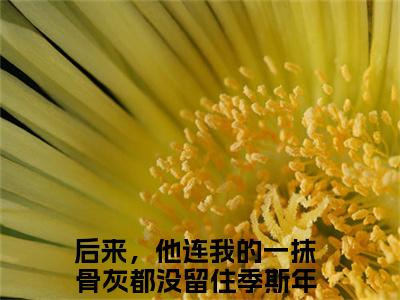 季斯年孟清越（后来，他连我的一抹骨灰都没留住全文在线阅读）-季斯年孟清越小说（后来，他连我的一抹骨灰都没留住）免费阅读最新章节列表无弹窗