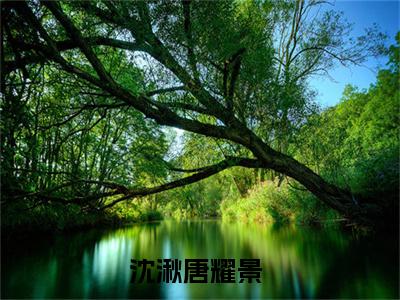 沈湫唐耀景（沈湫唐耀景）小说免费阅读完结版-沈湫唐耀景小说全文免费阅读