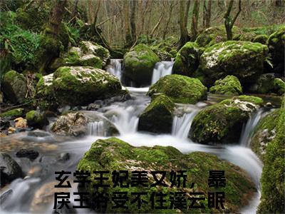 玄学王妃美又娇，暴戾王爷受不住溪云眠（玄学王妃美又娇，暴戾王爷受不住溪云眠）高质量小说免费阅读_玄学王妃美又娇，暴戾王爷受不住溪云眠最新章节列表_笔趣阁