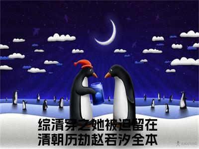 综清穿之她被迫留在清朝历劫赵若汐完整版《综清穿之她被迫留在清朝历劫赵若汐》全文阅读