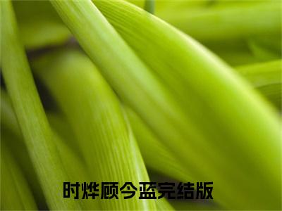 时烨顾今蓝（时烨顾今蓝）全文小说完整版-（时烨顾今蓝）时烨顾今蓝全文无删减免费阅读