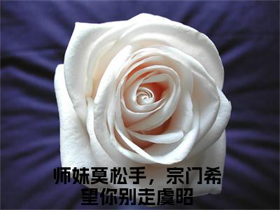 师妹莫松手，宗门希望你别走虞昭小说全文-师妹莫松手，宗门希望你别走虞昭最新章节免费阅读师妹莫松手，宗门希望你别走虞昭小说