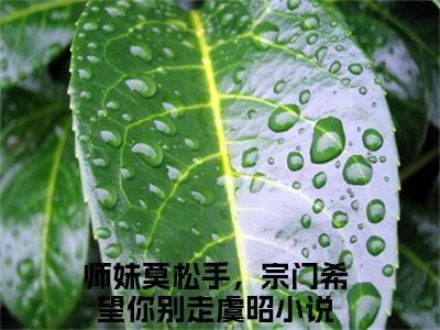 师妹莫松手，宗门希望你别走虞昭（师妹莫松手，宗门希望你别走虞昭）小说-师妹莫松手，宗门希望你别走虞昭小说免费阅读