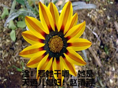 淦！惹她干嘛，她是天道儿媳妇！赵清浔小说全文-（淦！惹她干嘛，她是天道儿媳妇！赵清浔）精选小说淦！惹她干嘛，她是天道儿媳妇！赵清浔大结局阅读