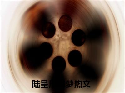 陆星辰苏梦（陆星辰苏梦）全文免费阅读无弹窗_陆星辰苏梦最新小说_笔趣阁（陆星辰苏梦）