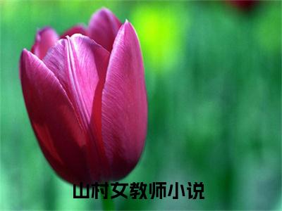 杨晓薇李理（山村女教师）小说全文-杨晓薇李理无弹窗免费阅读