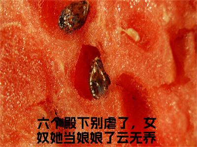 六个殿下别虐了，女奴她当娘娘了云无养大结局无广告 热门小说六个殿下别虐了，女奴她当娘娘了云无养全集免费阅读