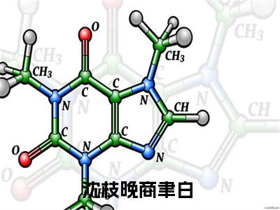 沈枝晚商聿白（沈枝晚商聿白）全文免费阅读无弹窗大结局_沈枝晚商聿白最新章节列表_笔趣阁（沈枝晚商聿白）