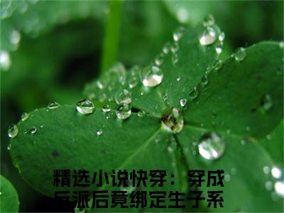 快穿：穿成反派后竟绑定生子系统祝白芍小说全文-快穿：穿成反派后竟绑定生子系统祝白芍小说快穿：穿成反派后竟绑定生子系统祝白芍免费阅读大结局