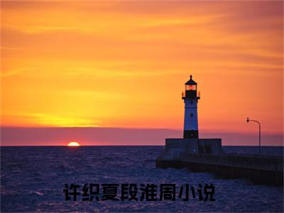 许织夏段淮周（许织夏段淮周）全文免费大结局，许织夏段淮周结局在线阅读