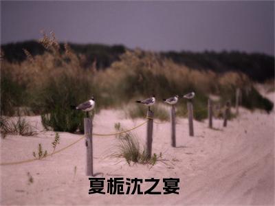 夏栀沈之宴阅读无弹窗大结局_（夏栀沈之宴阅读无弹窗）最新章节列表_笔趣阁（夏栀沈之宴）