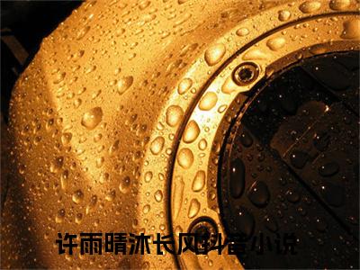 许雨晴沐长风全文免费阅读无弹窗大结局_章节列表_笔趣阁