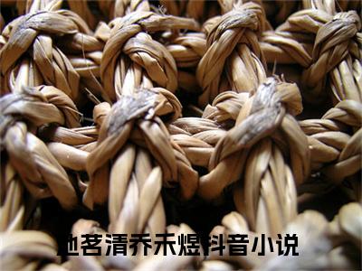 池茗清乔禾煜小说全文大结局-池茗清乔禾煜（池茗清乔禾煜）小说全文免费阅读