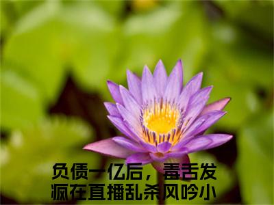 负债一亿后，毒舌发疯在直播乱杀风吟阅读无弹窗大结局_负债一亿后，毒舌发疯在直播乱杀风吟穿越小说免费阅读_笔趣阁