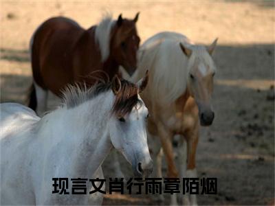 肖行雨章陌烟免费阅读最新章节无弹窗 肖行雨章陌烟完整版小说在线阅读