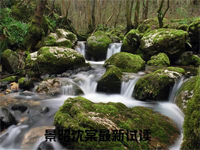 景昭沈棠(景昭沈棠）小说全文免费阅读无弹窗大结局_（景昭沈棠）景昭沈棠小说全文免费阅读最新章节列表笔趣阁（景昭沈棠）