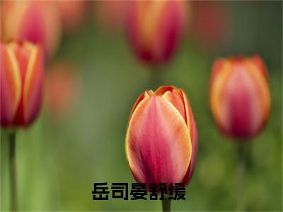 岳司晏舒缓抖音最新热点小说，岳司晏舒缓小说最新章节阅读