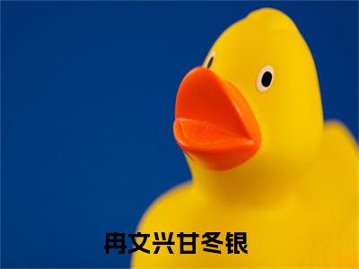 冉文兴甘冬银（冉文兴甘冬银）免费阅读完整版-冉文兴甘冬银全文大结局已完结