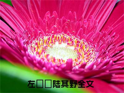 左芃芃陆其野（左芃芃陆其野）全文免费阅读无弹窗大结局_（左芃芃陆其野）左芃芃陆其野最新章节列表_笔趣阁（左芃芃陆其野）