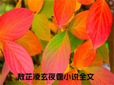 敖芷凌玄夜霆（敖芷凌玄夜霆）全文免费阅读无弹窗大结局_敖芷凌玄夜霆免费最新章节列表_笔趣阁