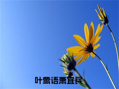 (热推新书)叶莺语萧宜民小说在线分享-（叶莺语萧宜民）小说全文免费阅读_叶莺语萧宜民最新章节列表_笔趣阁