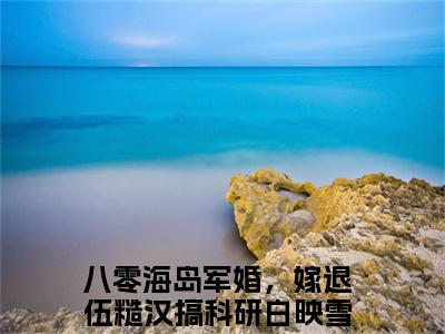 小说（八零海岛军婚，嫁退伍糙汉搞科研白映雪）_八零海岛军婚，嫁退伍糙汉搞科研白映雪全文阅读_八零海岛军婚，嫁退伍糙汉搞科研白映雪免费阅读大结局