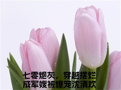 小说(七零炮灰，穿越摆烂成军嫂被爆宠沈清欢)全文免费阅读_(七零炮灰，穿越摆烂成军嫂被爆宠沈清欢)小说全文免费阅读