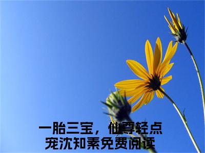 一胎三宝，仙尊轻点宠沈知素全文最新章节正版小说免费阅读