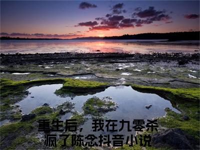 (热推新书)（重生后，我在九零杀疯了陈念）全文免费阅读无弹窗大结局-重生后，我在九零杀疯了陈念全文阅读无弹窗