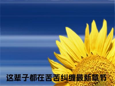 沈芷慕熠琰（这辈子都在苦苦纠缠）全文免费阅读无弹窗大结局_沈芷慕熠琰最新章节列表-笔趣阁这辈子都在苦苦纠缠