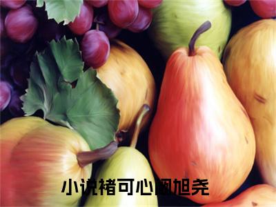 褚可心阚旭尧全文免费阅读无弹窗大结局_（褚可心阚旭尧）褚可心阚旭尧最新章节列表_笔趣阁（褚可心阚旭尧）