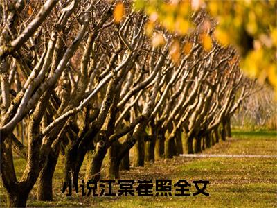 江棠崔照全文免费阅读无弹窗大结局_ （江棠崔照完结）江棠崔照小说最新章节列表