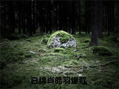 白绵肖皓羽小说（已完结小说全集完整版大结局）小说全文阅读笔趣阁