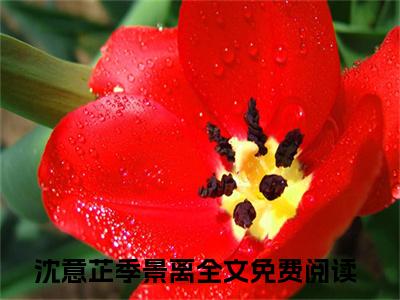 沈意芷季景离（沈意芷季景离）爽文小说全文阅读-沈意芷季景离最新章节更新