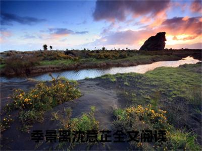 沈意芷季景离（季景离沈意芷全文免费阅读）无弹窗-沈意芷季景离（季景离沈意芷）完整版在线赏析笔趣阁