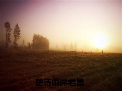 小说楚诗雨席君墨（楚诗雨席君墨）免费阅读-小说楚诗雨席君墨全文在线赏析