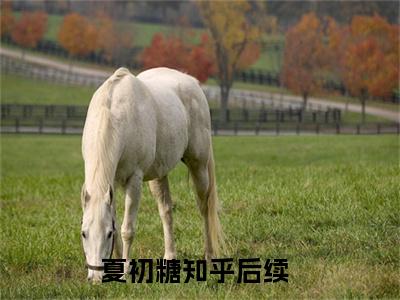 夏初糖（重生九零，带着空间逆袭暴富大结局小说全集完整版）_（重生九零，带着空间逆袭暴富小说）夏初糖全文阅读笔趣阁