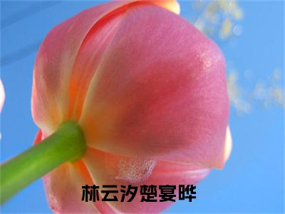 退婚后，王妃带崽嫁皇叔全文免费在线阅读_（林云汐楚宴晔全文免费阅读无弹窗大结局）退婚后，王妃带崽嫁皇叔最新章节列表_笔趣阁