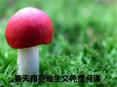 姜天栩巫灿（姜天栩巫灿）免费阅读无弹窗大结局-姜天栩巫灿（最新全章节大结局）全文阅读